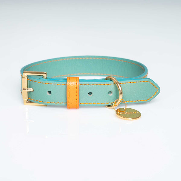 Collar Aquamarine/Papaya