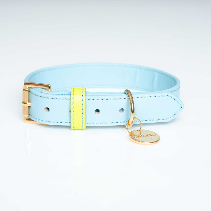 COLLAR BABYBLUE/LEMON