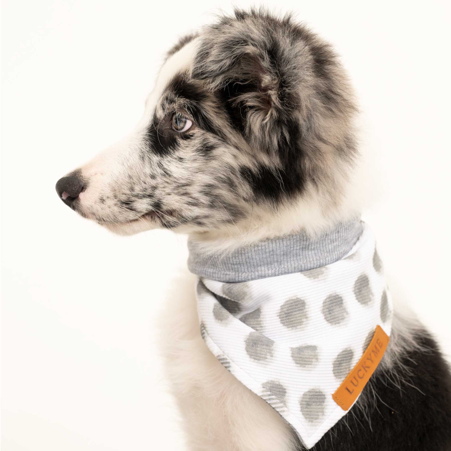 Pañoleta grey dots