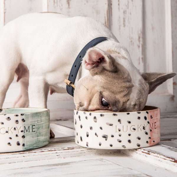 Bowl Pomegranate Spots