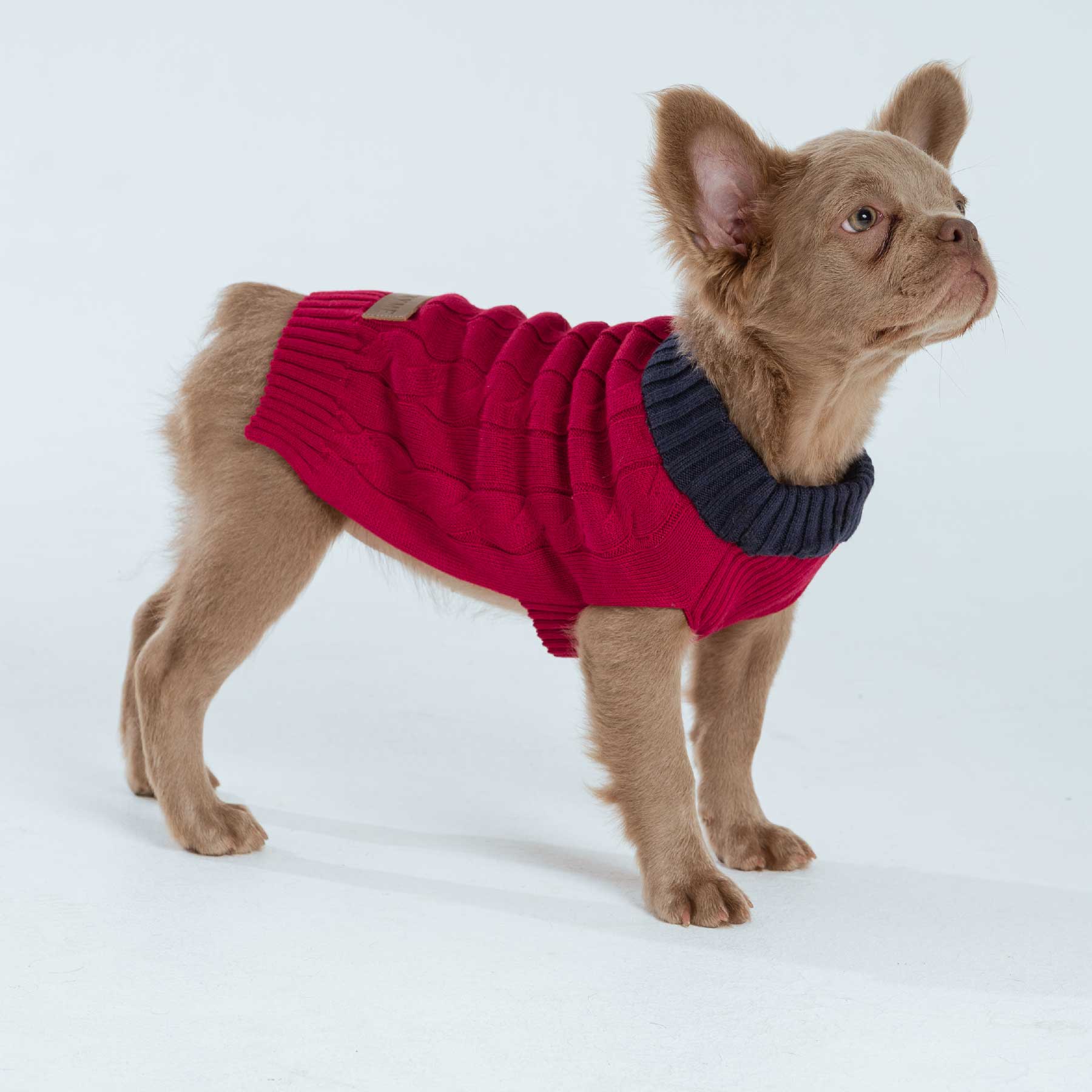 BUSO CHILI/BLUE