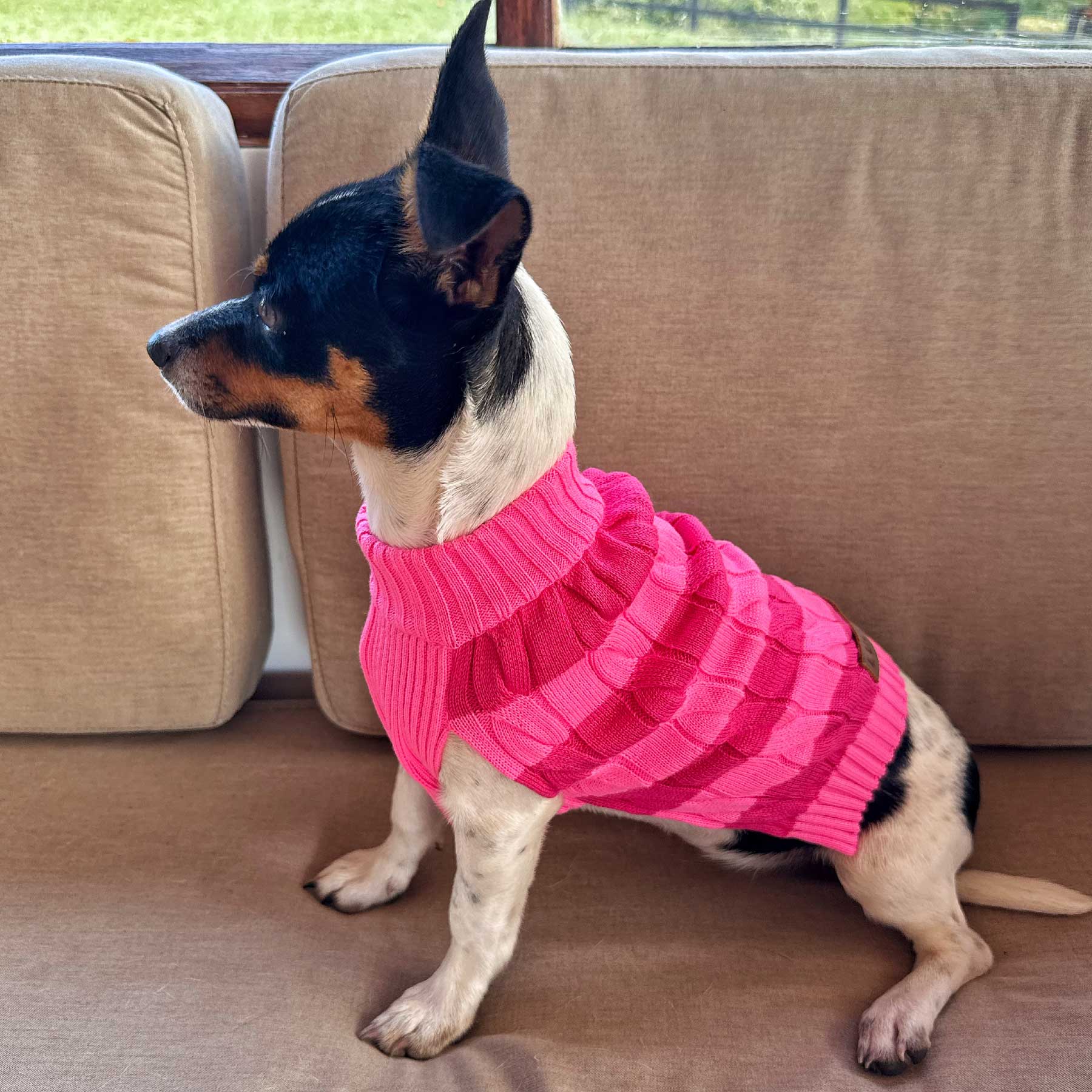 "NEW" BUSO RAYAS PINK LADY