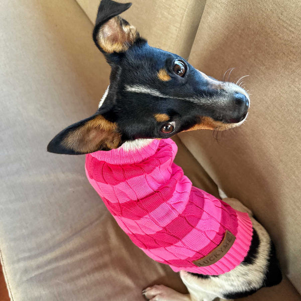 "NEW" BUSO RAYAS PINK LADY