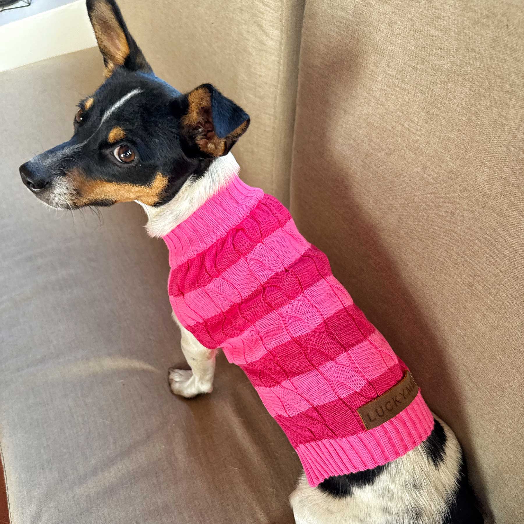 "NEW" BUSO RAYAS PINK LADY