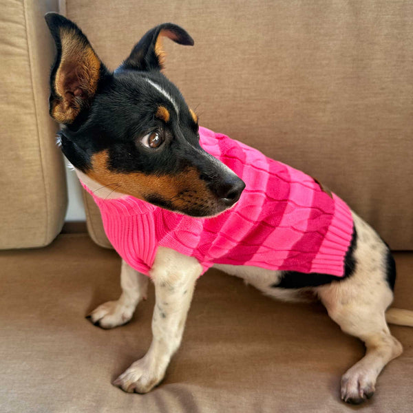 "NEW" BUSO RAYAS PINK LADY