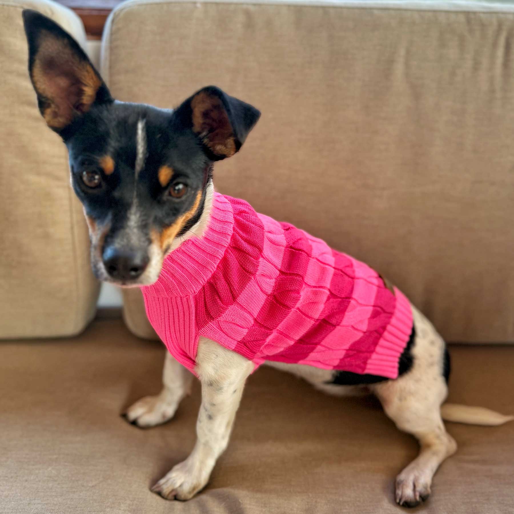 "NEW" BUSO RAYAS PINK LADY