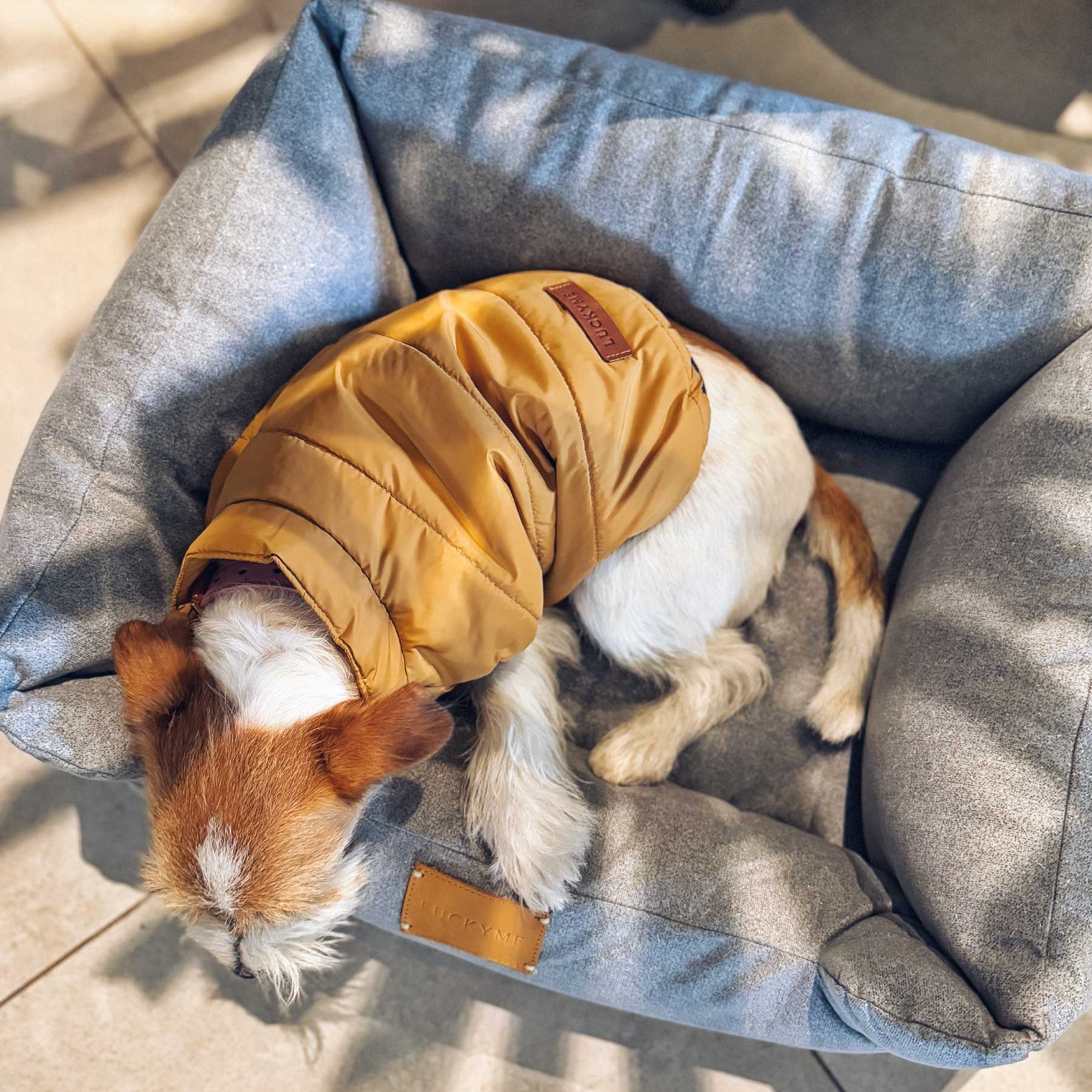 LUCKYME BED GREY (XS-S)