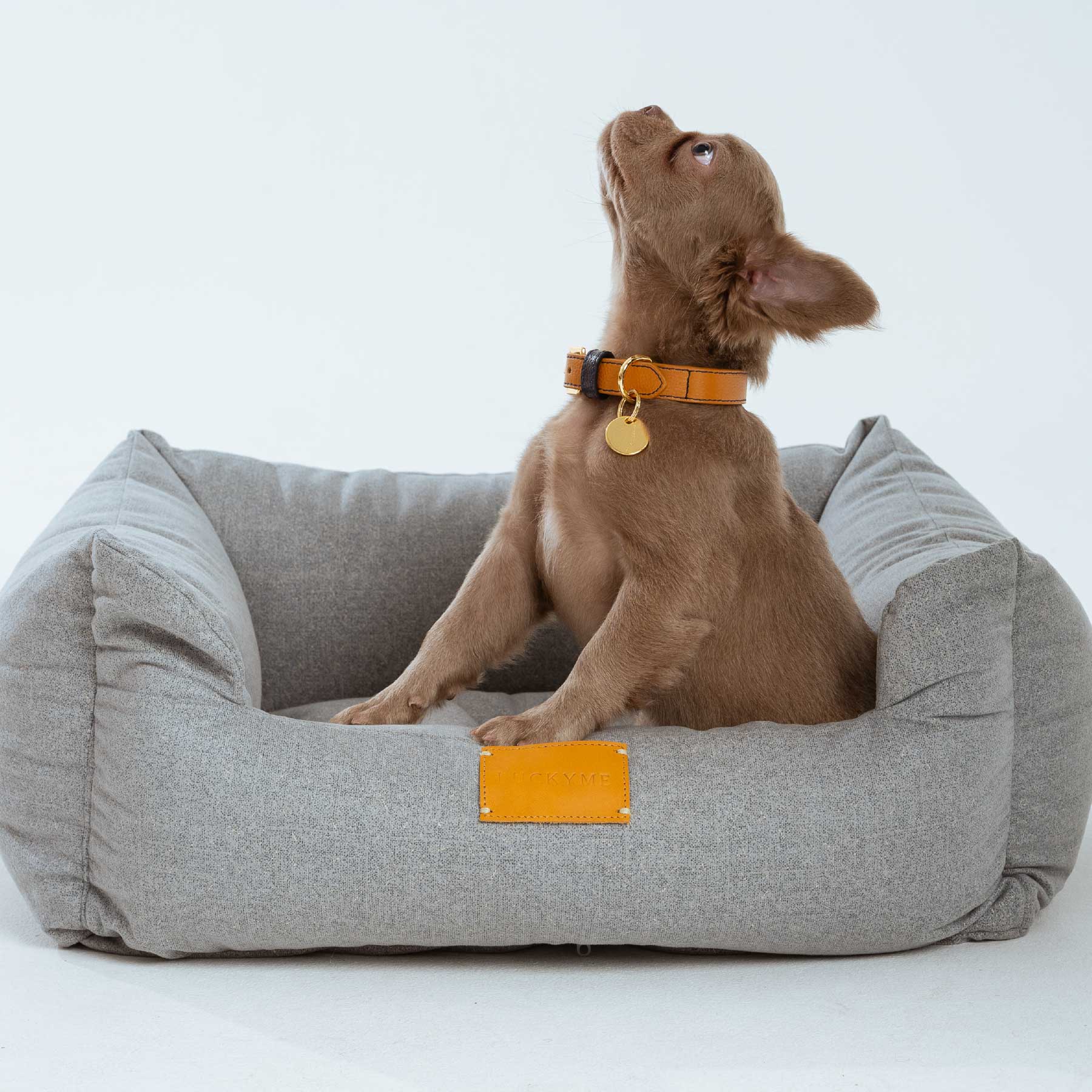 LUCKYME BED GREY (XS-S)