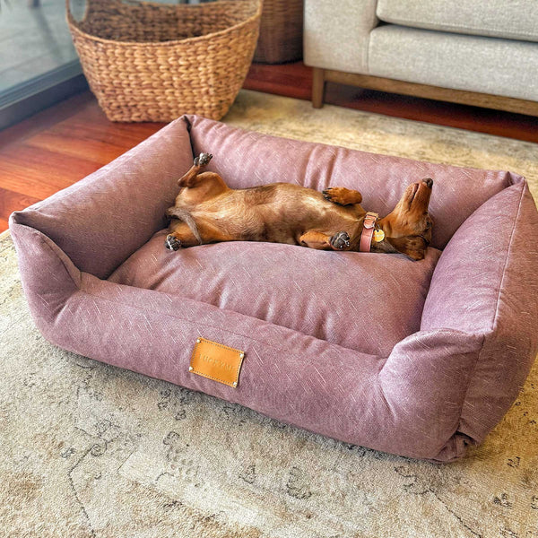 NEW "SPECIAL EDITION" LUCKYME BED PURPLE (M-L)