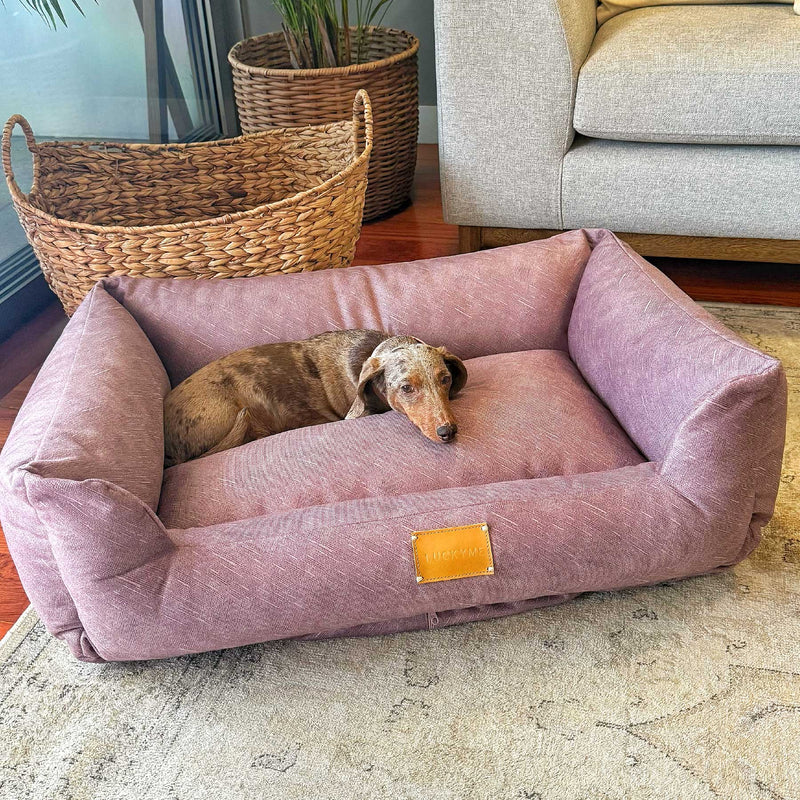 NEW "SPECIAL EDITION" LUCKYME BED PURPLE (M-L)