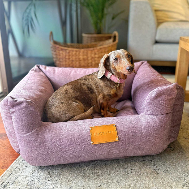 NEW "SPECIAL EDITION" LUCKYME BED PURPLE (XS-S)