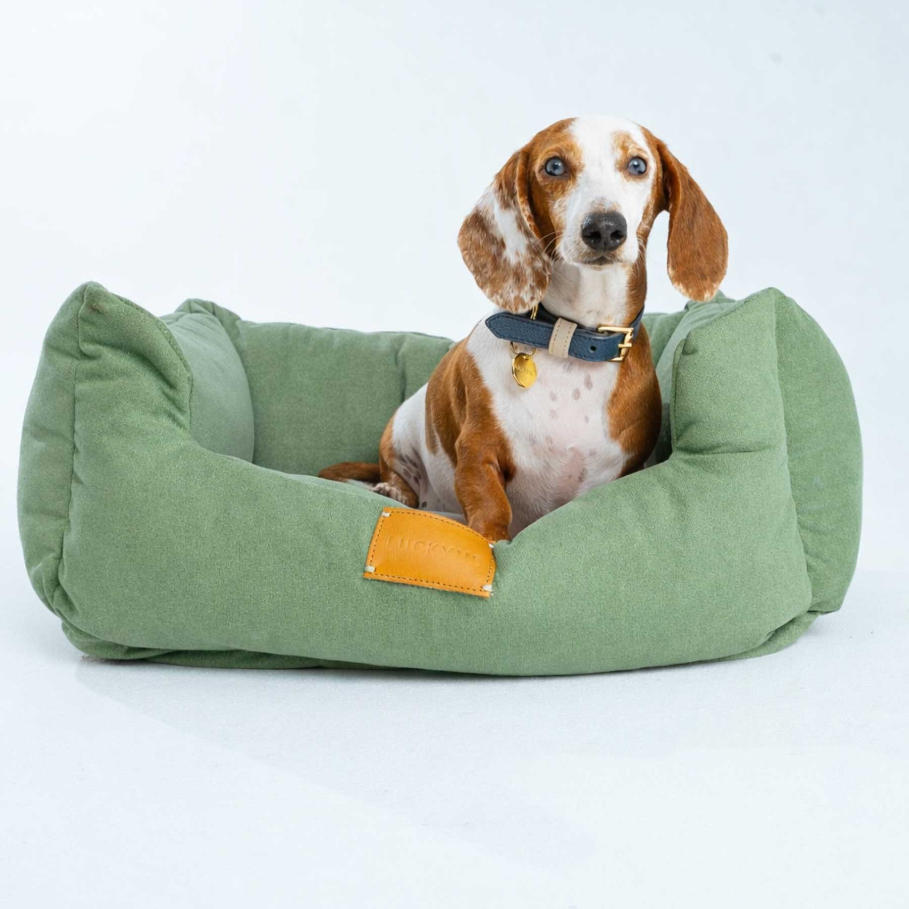 "NEW" LUCKYME BED GREEN (XS-S)