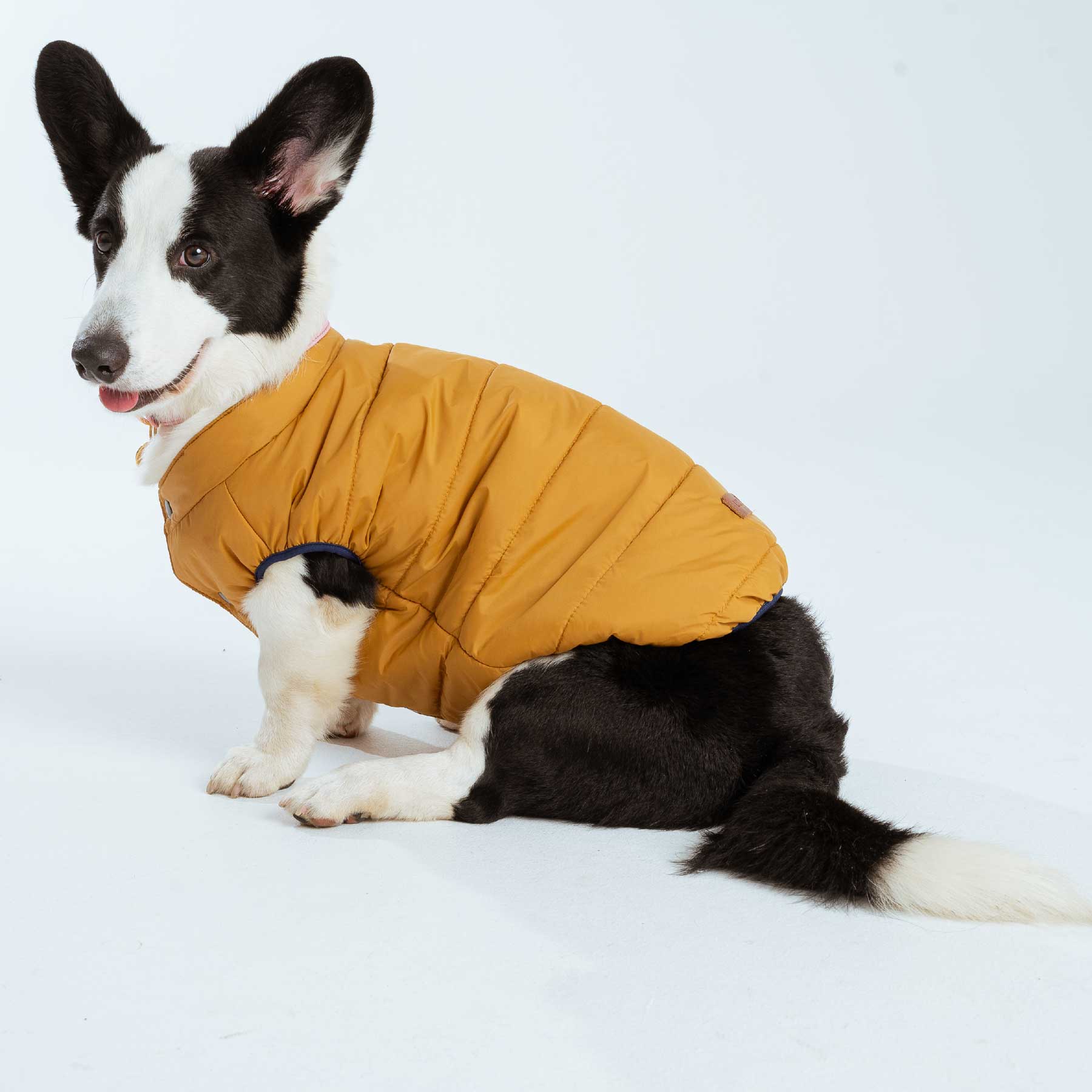 CHALECO MUSTARD "new collection"