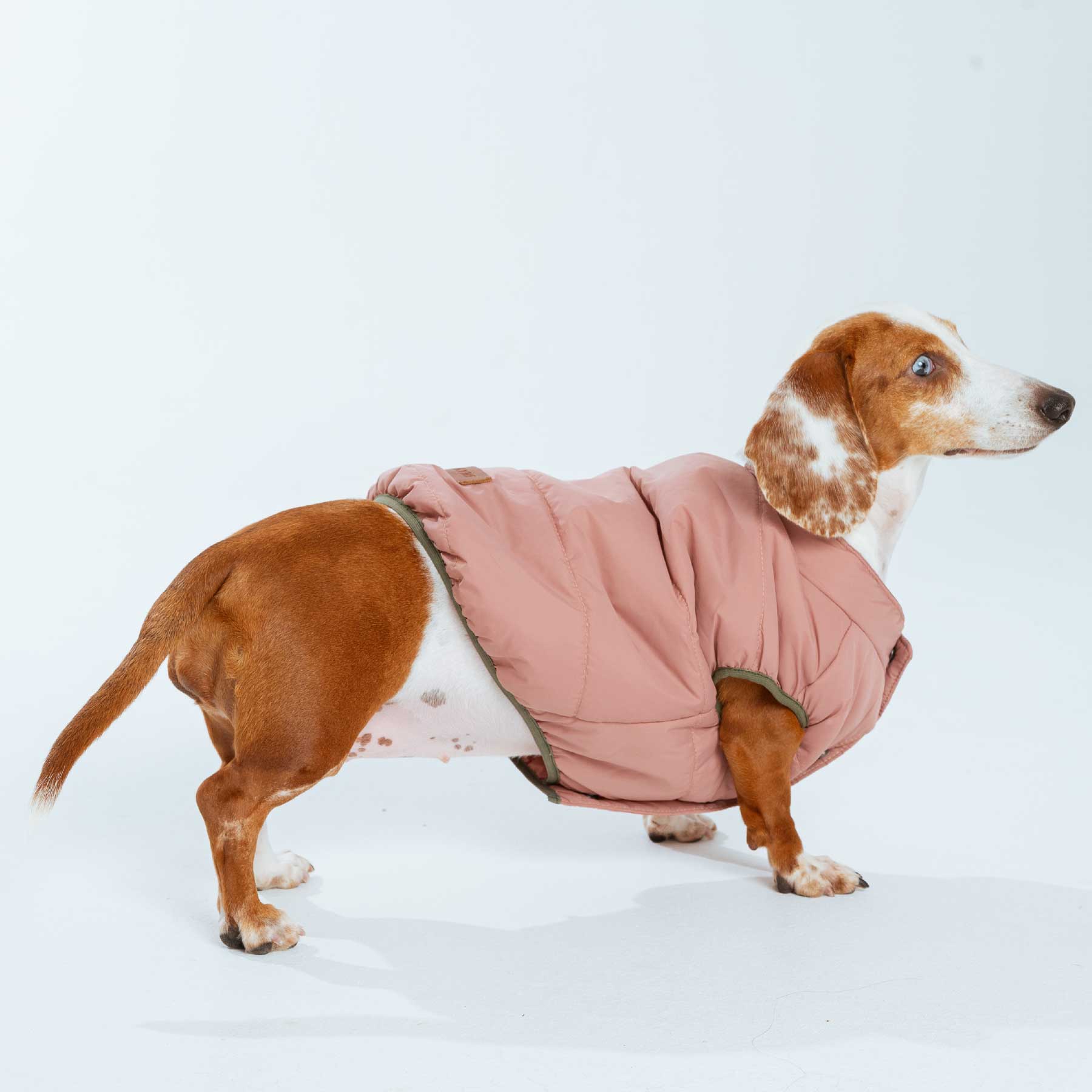 CHALECO PINK "new collection"