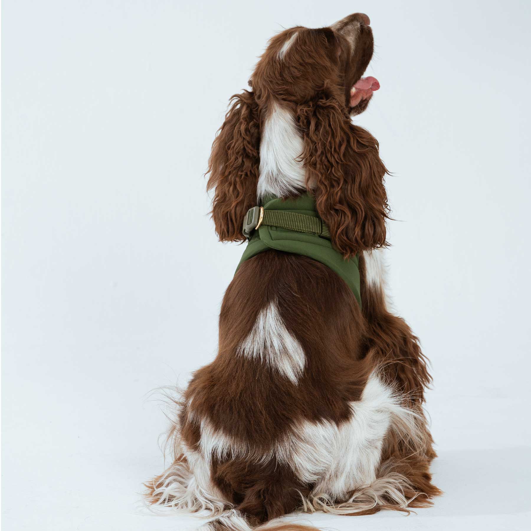 Pechera olive