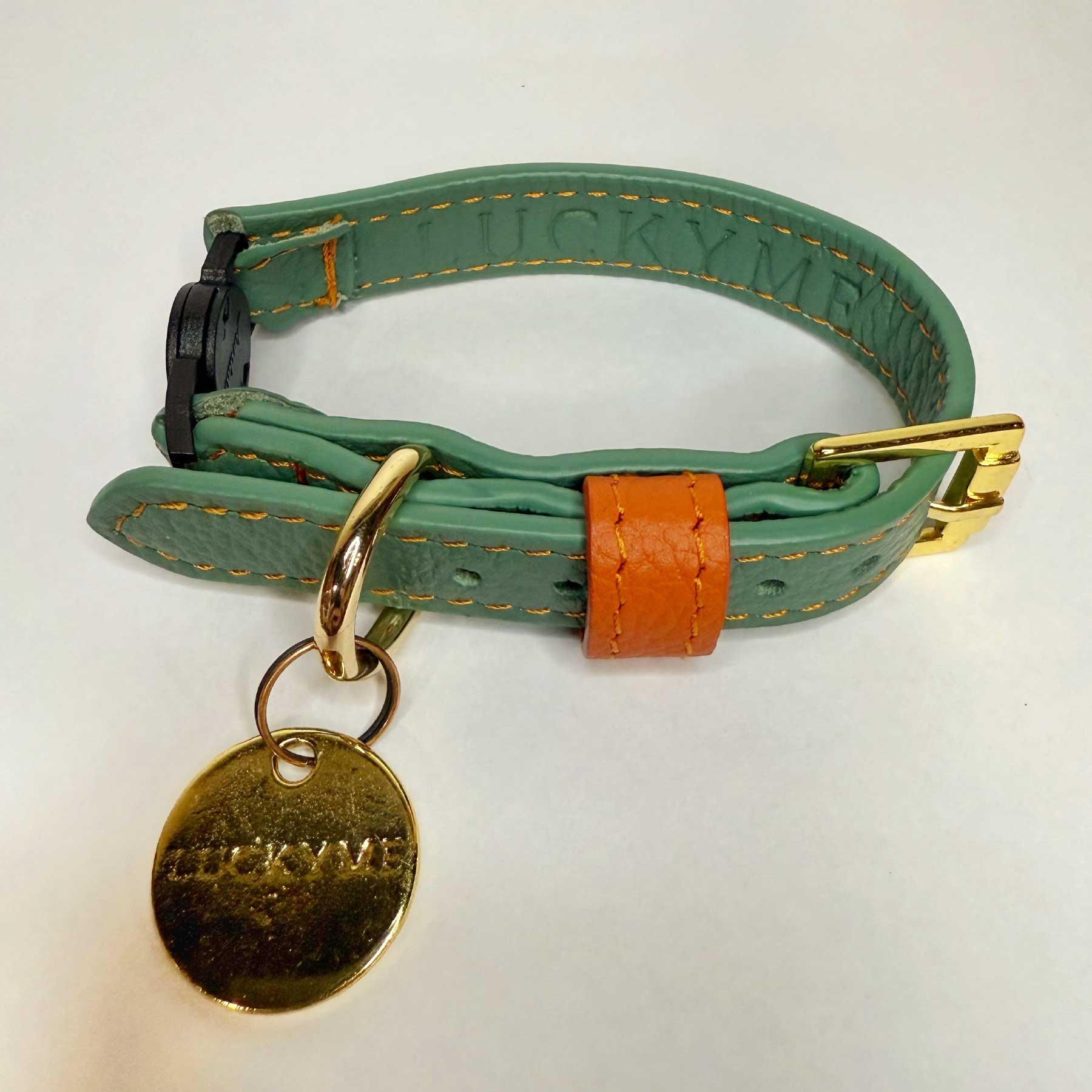 COLLAR GATO AQUAMARINE/PAPAYA