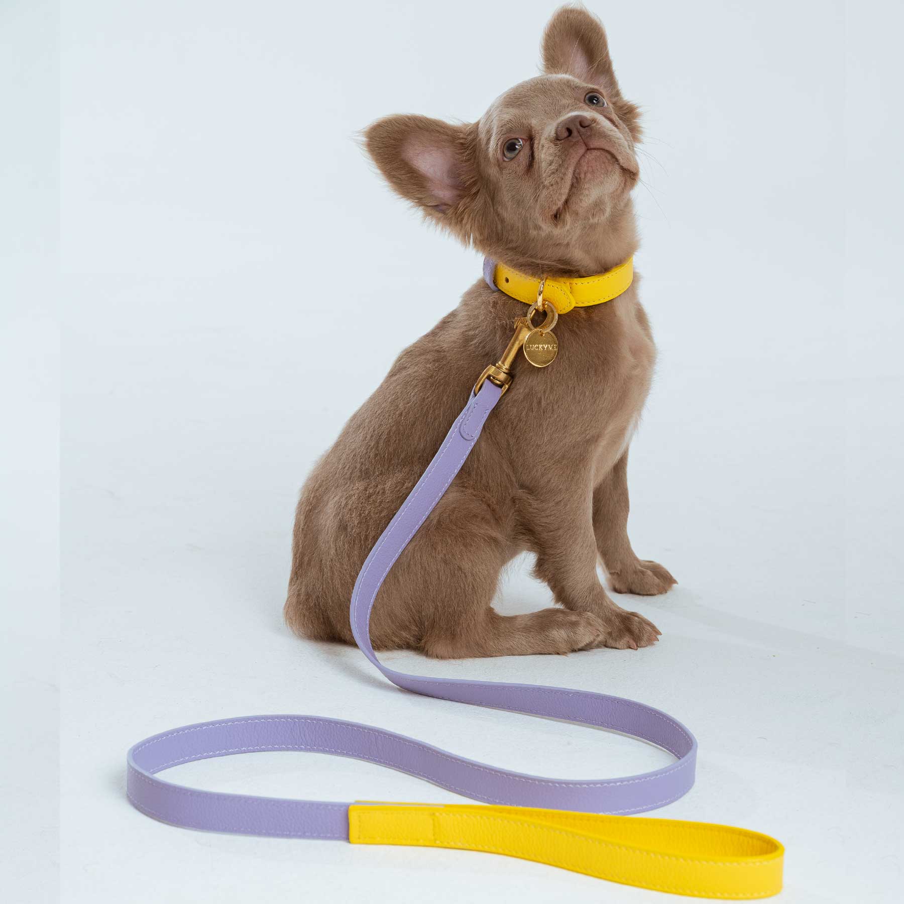 COLLAR BANANA/PURPLE