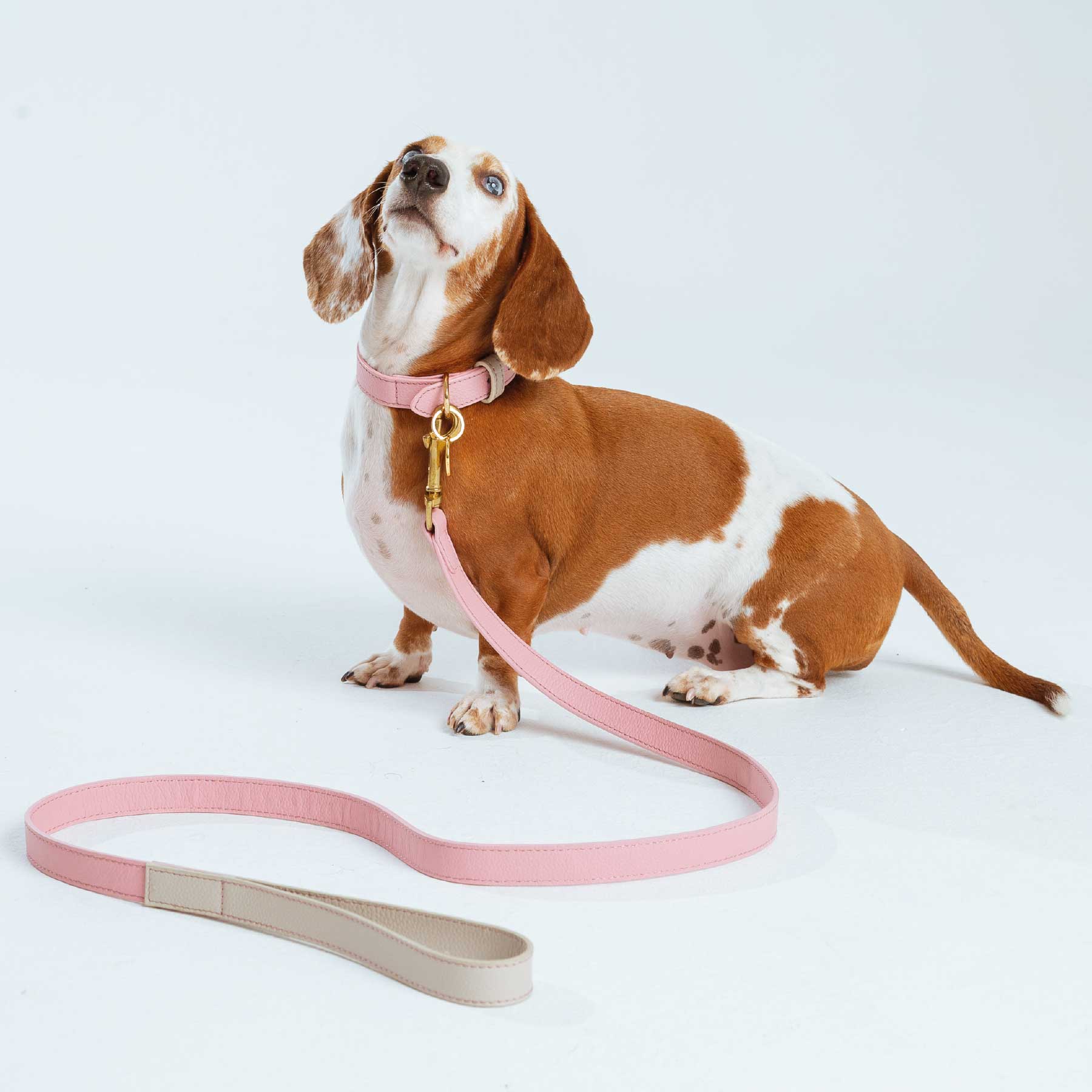 SET COLLAR PINKBLUSH/CREAM + CORREA PINKBLUSH/CREAM