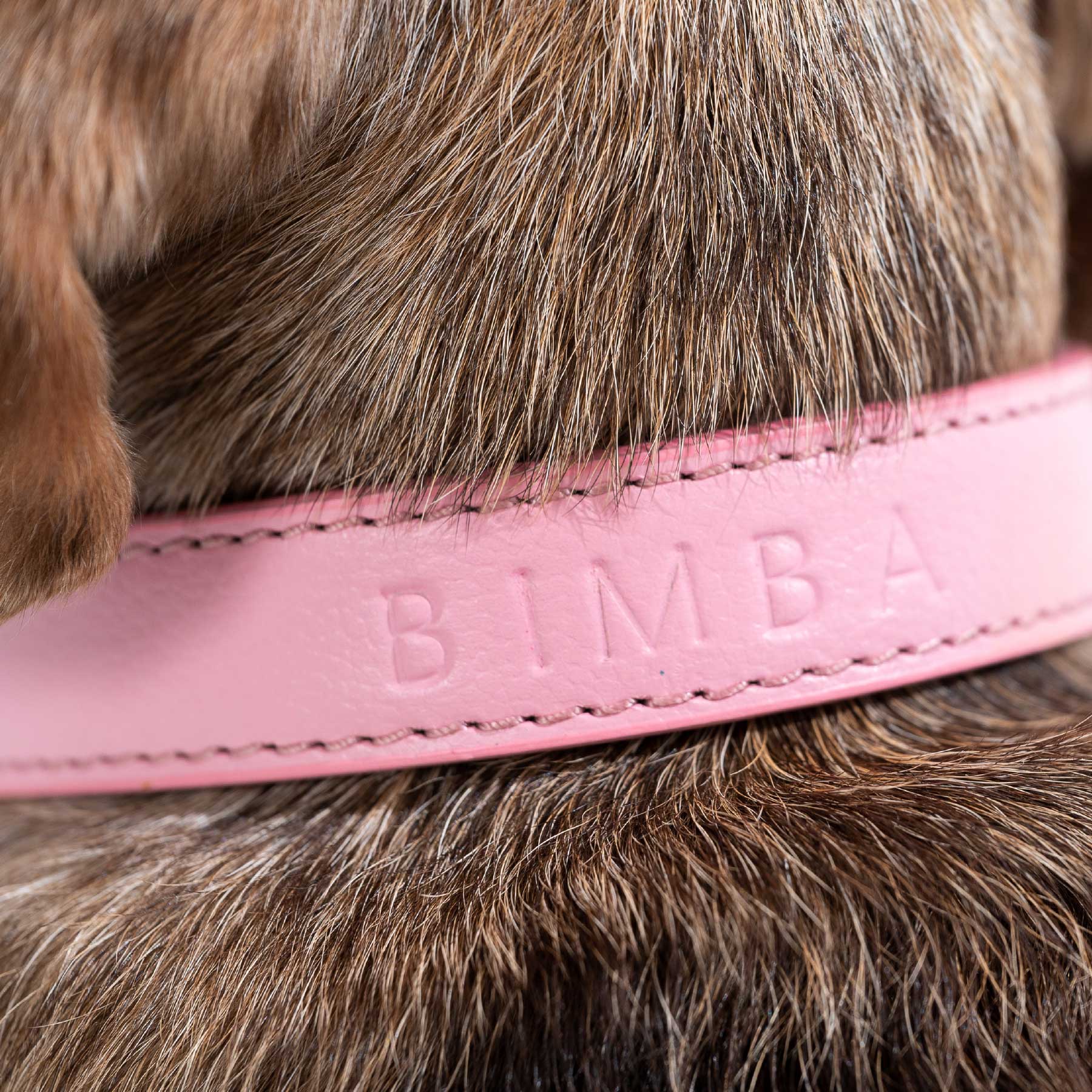 Collar Coconut/Blueberry