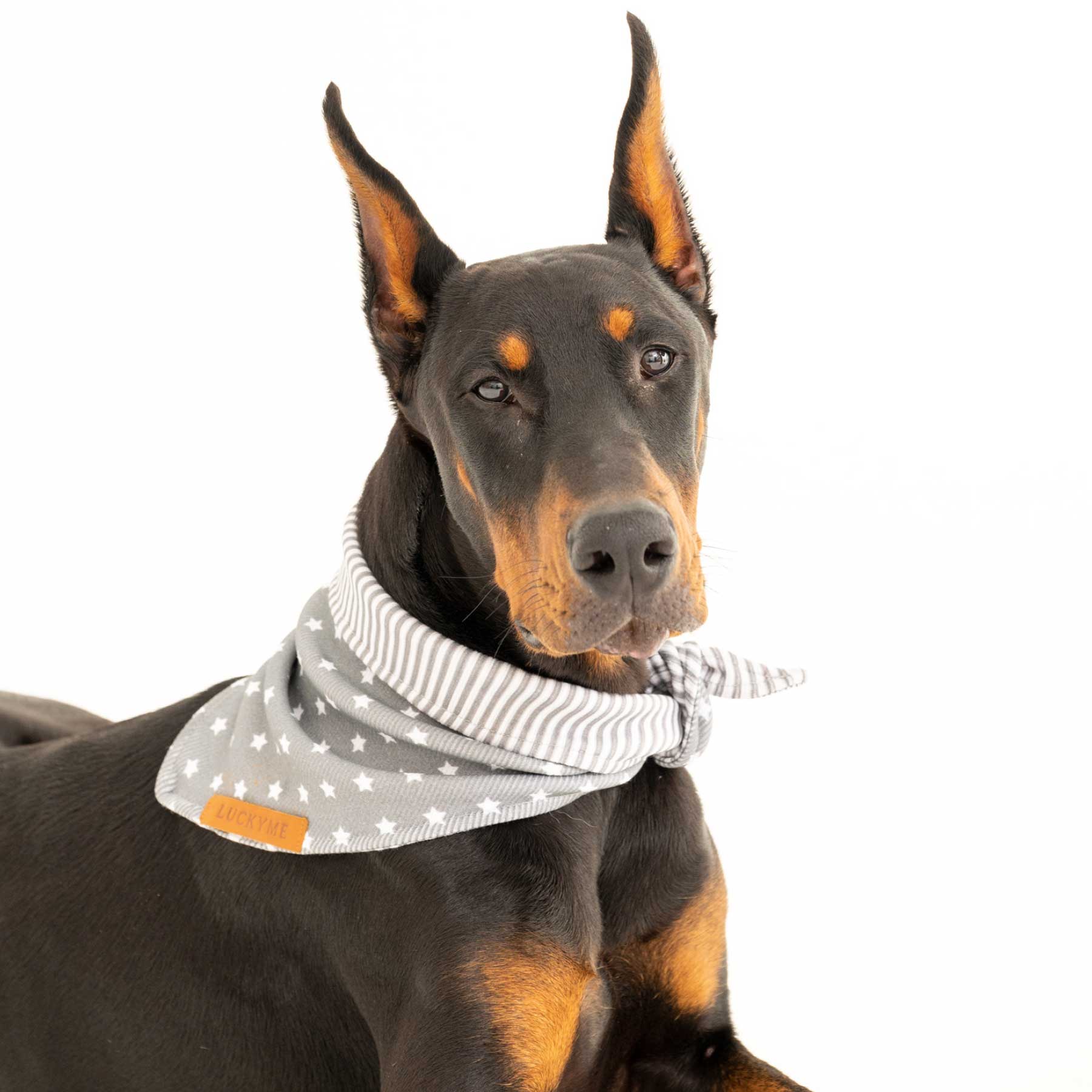 Pañoleta Grey Starline