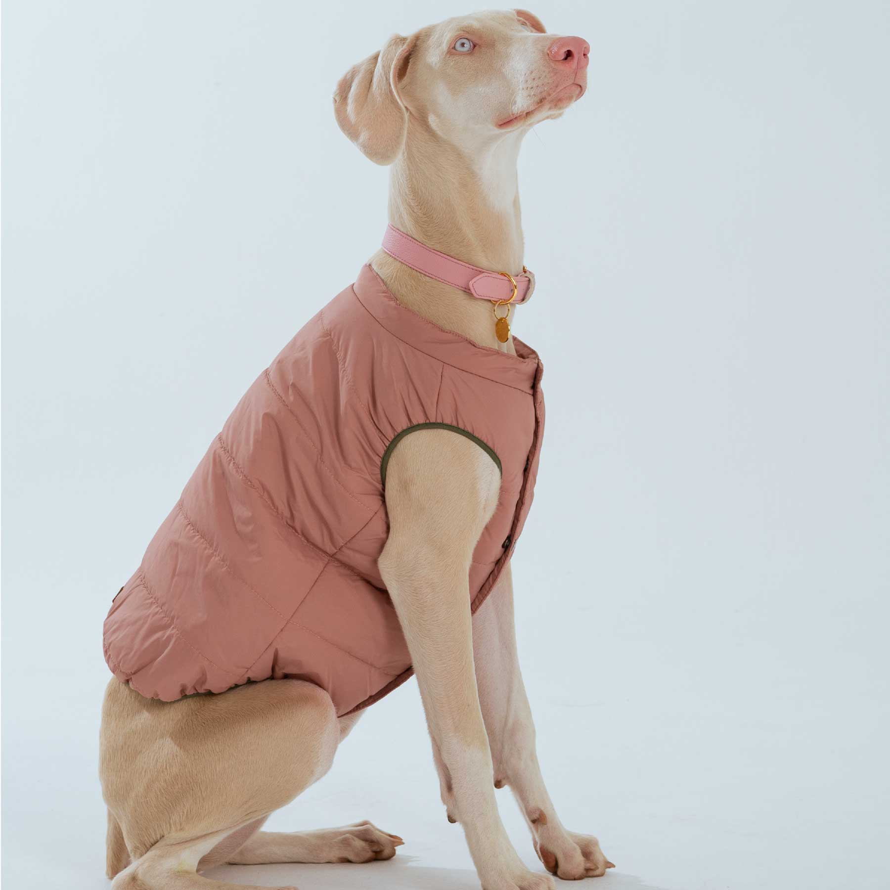 CHALECO PINK "new collection"