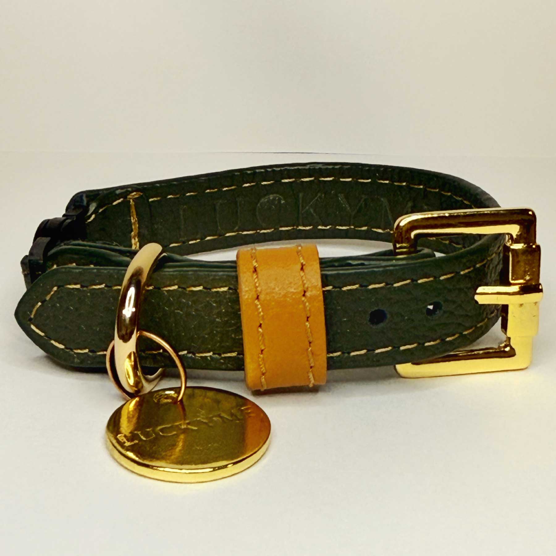 COLLAR GATO KIWI/COCONUT