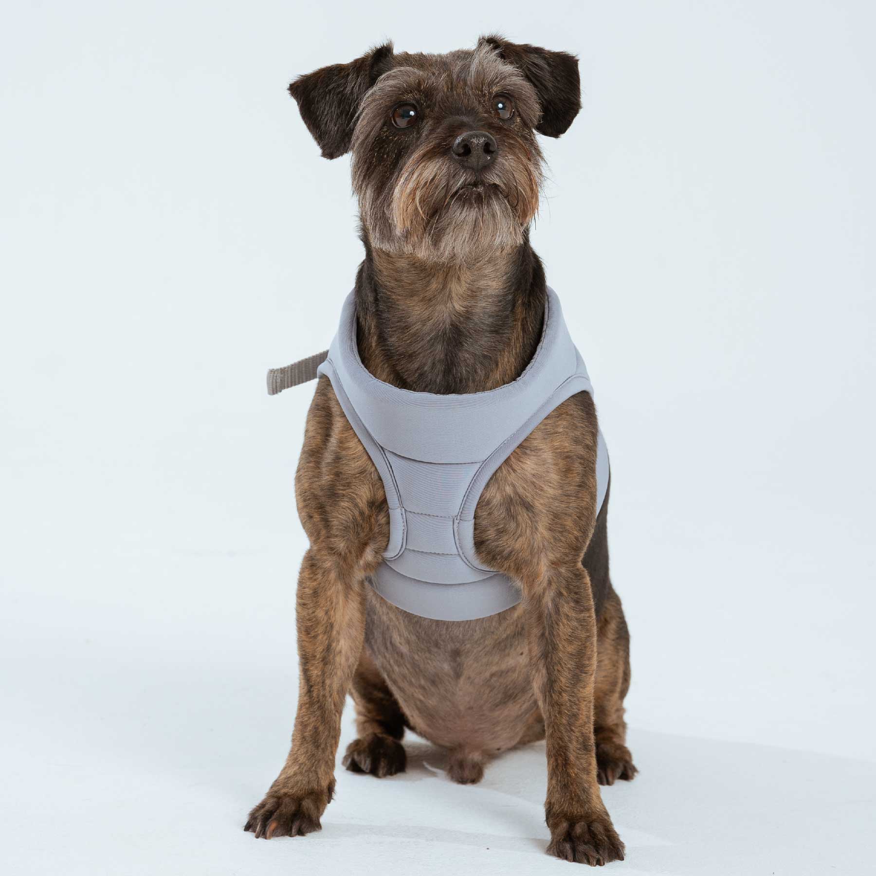 Pechera Grey