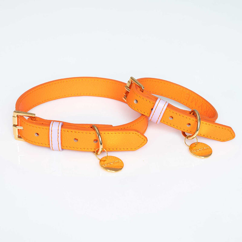 COLLAR ORANGE/LILAC