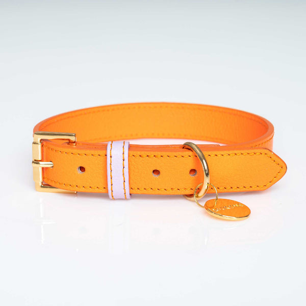 COLLAR ORANGE/LILAC