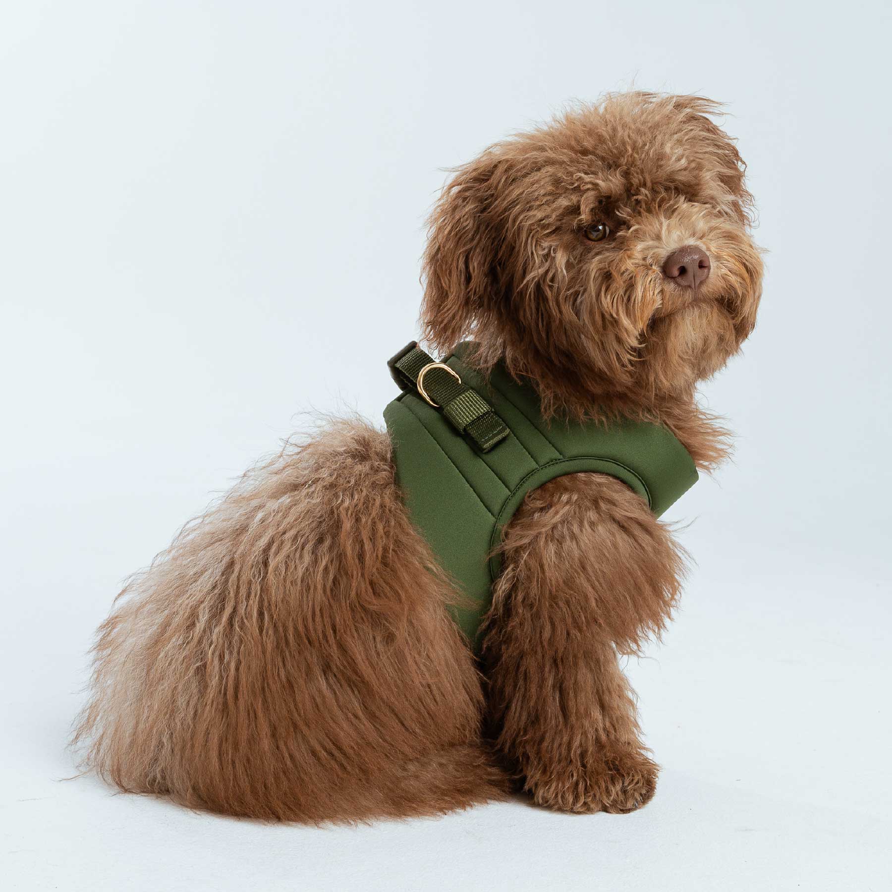 Pechera olive