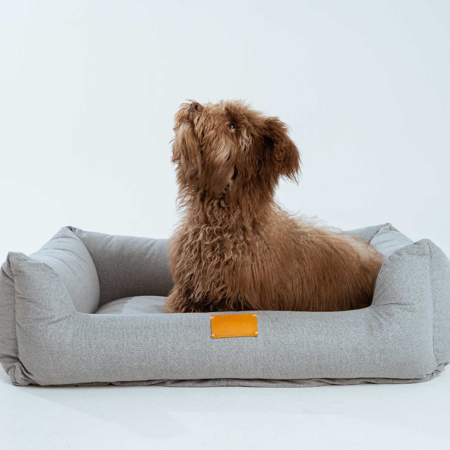 LUCKYME BED GREY (M-L)