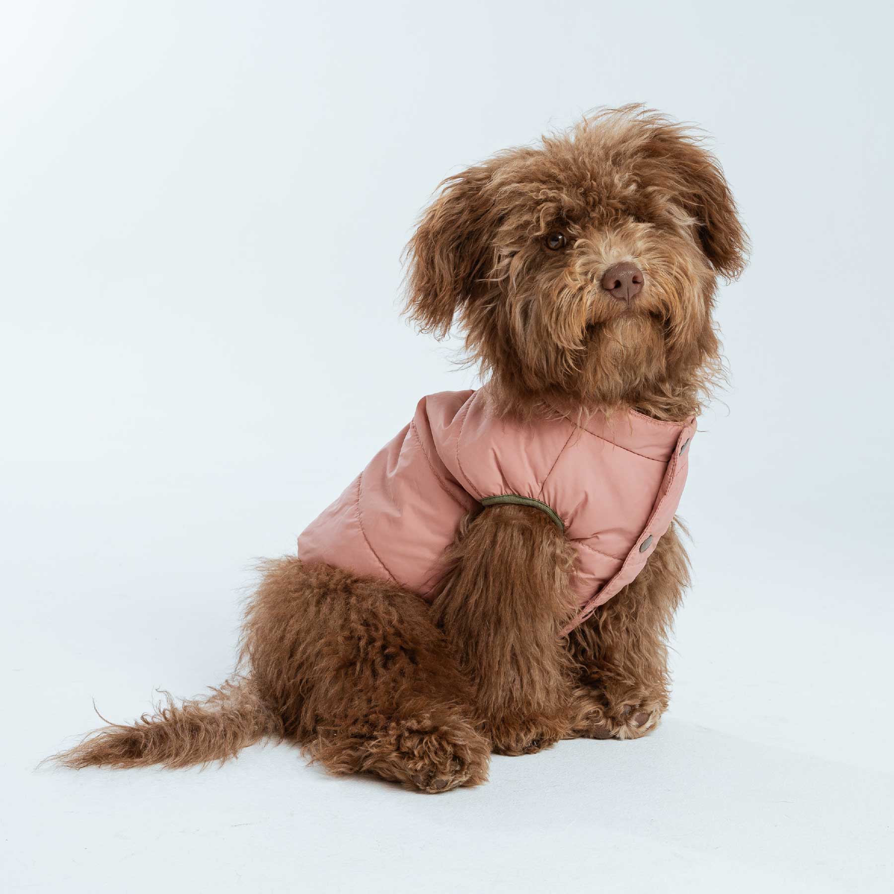 CHALECO PINK "new collection"