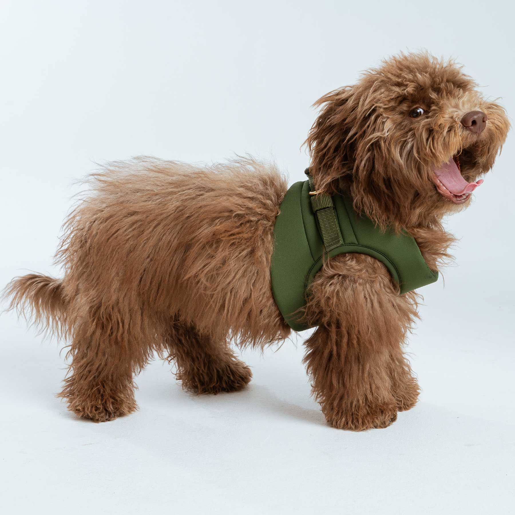 Pechera olive