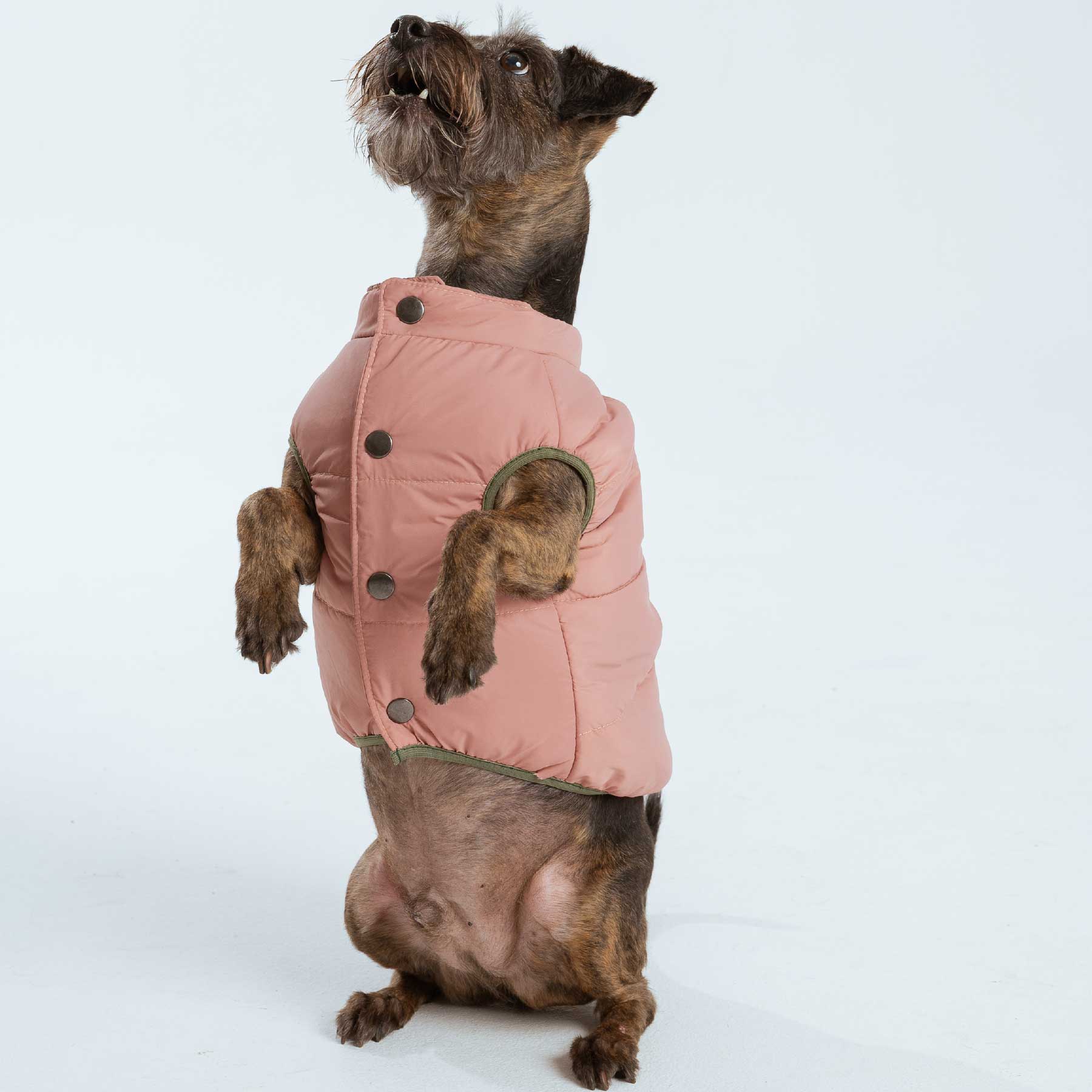 CHALECO PINK "new collection"