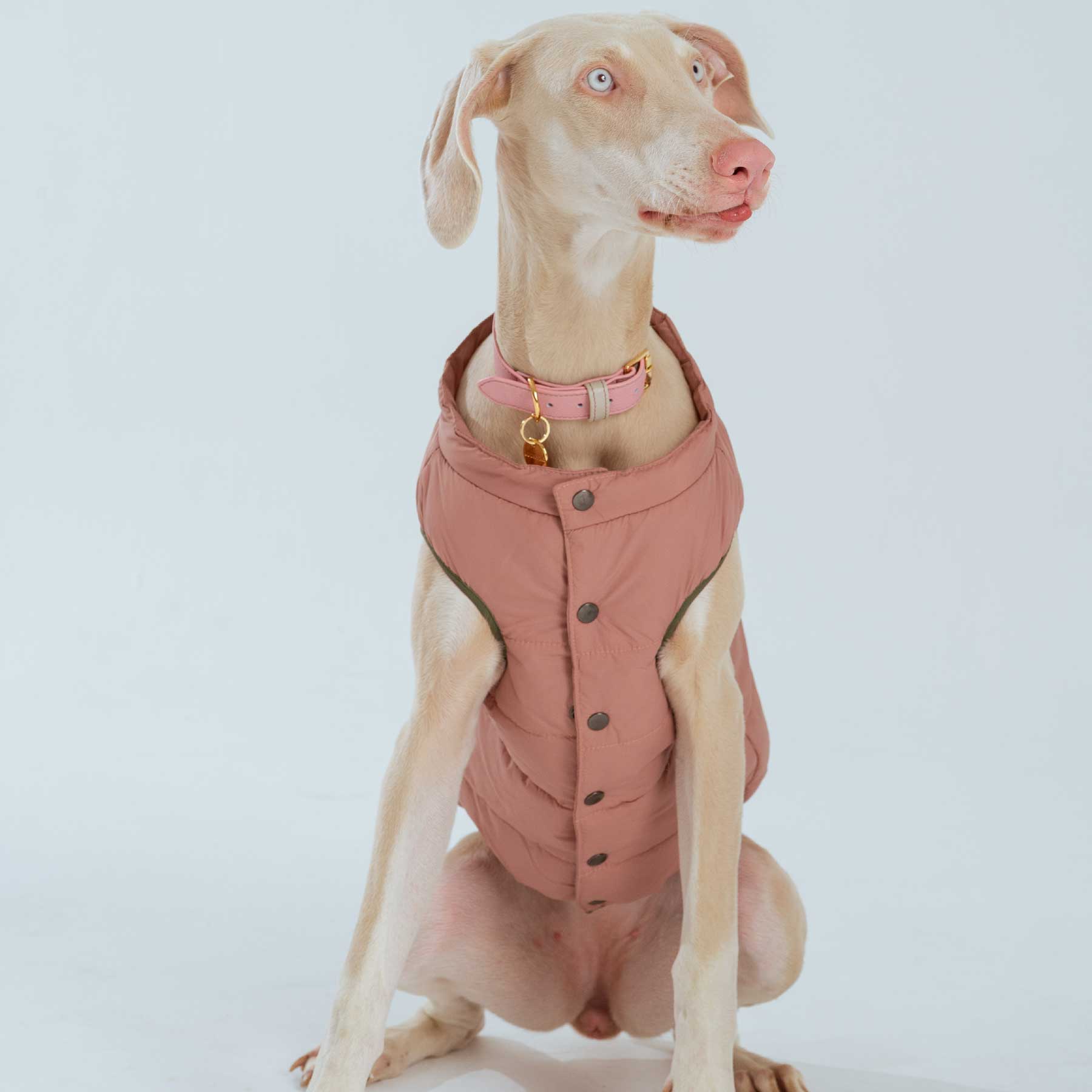 CHALECO PINK "new collection"