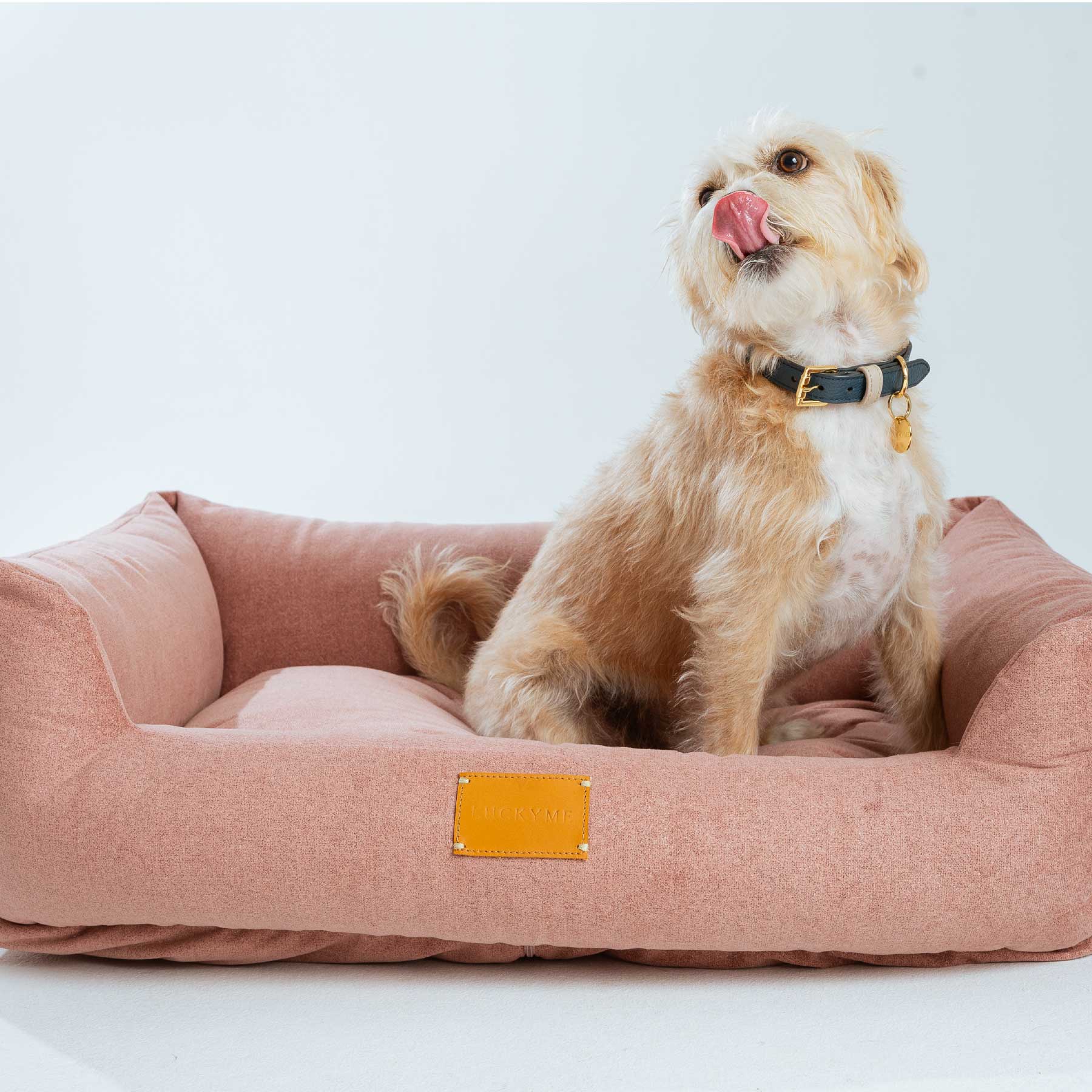 "SPECIAL EDITION" LUCKYME BED PINK (M-L)
