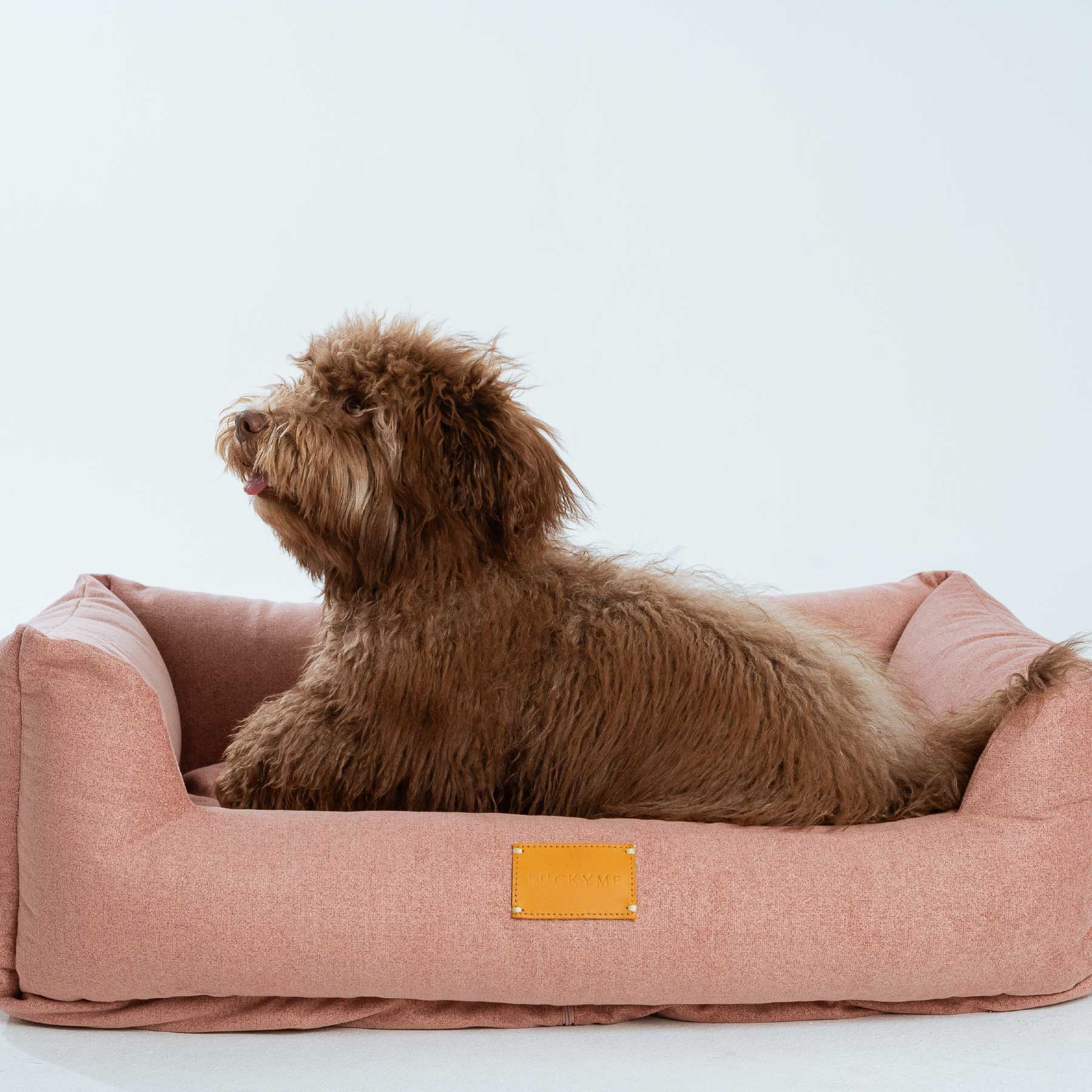 "SPECIAL EDITION" LUCKYME BED PINK (M-L)