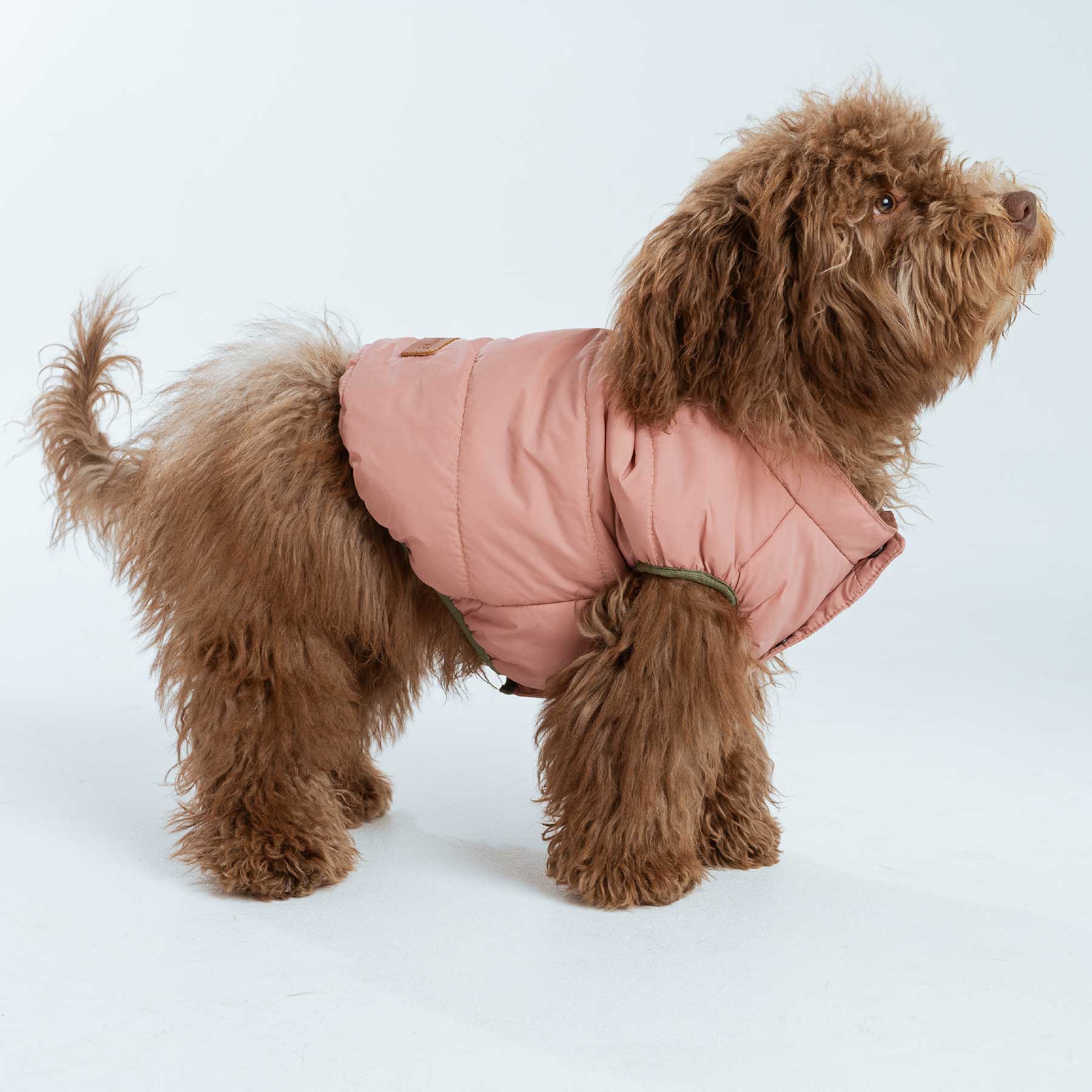 CHALECO PINK "new collection"
