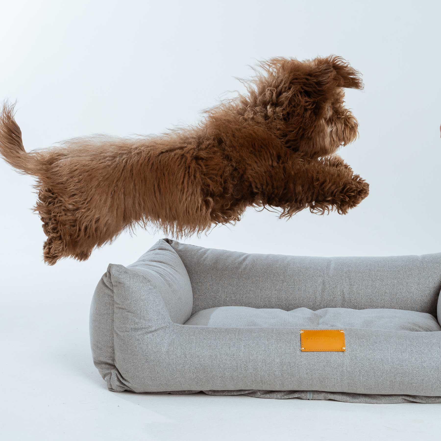 LUCKYME BED GREY (M-L)