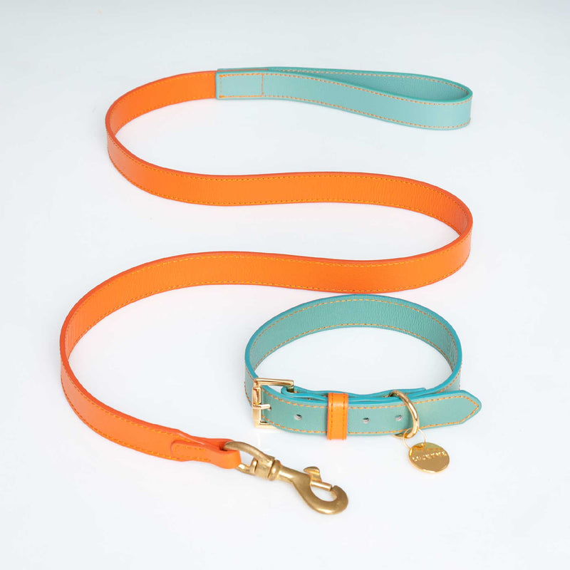 SET COLLAR AQUAMARINE/PAPAYA & CORREA PAPAYA/AQUAMARINE