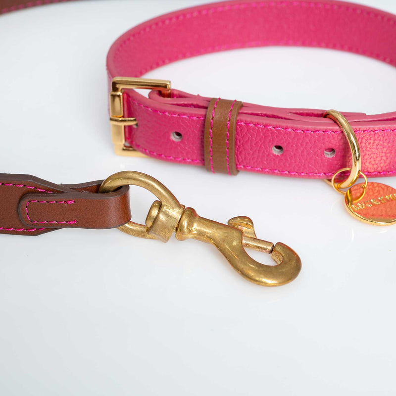 Set Collar Lychee/Cocoa & Correa Cocoa/Lychee