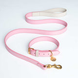 SET COLLAR PINKBLUSH/CREAM & CORREA PINKBLUSH/CREAM