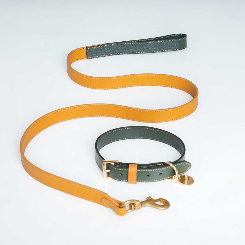 Set Collar Kiwi/Coconut & Correa Coconut/Kiwi